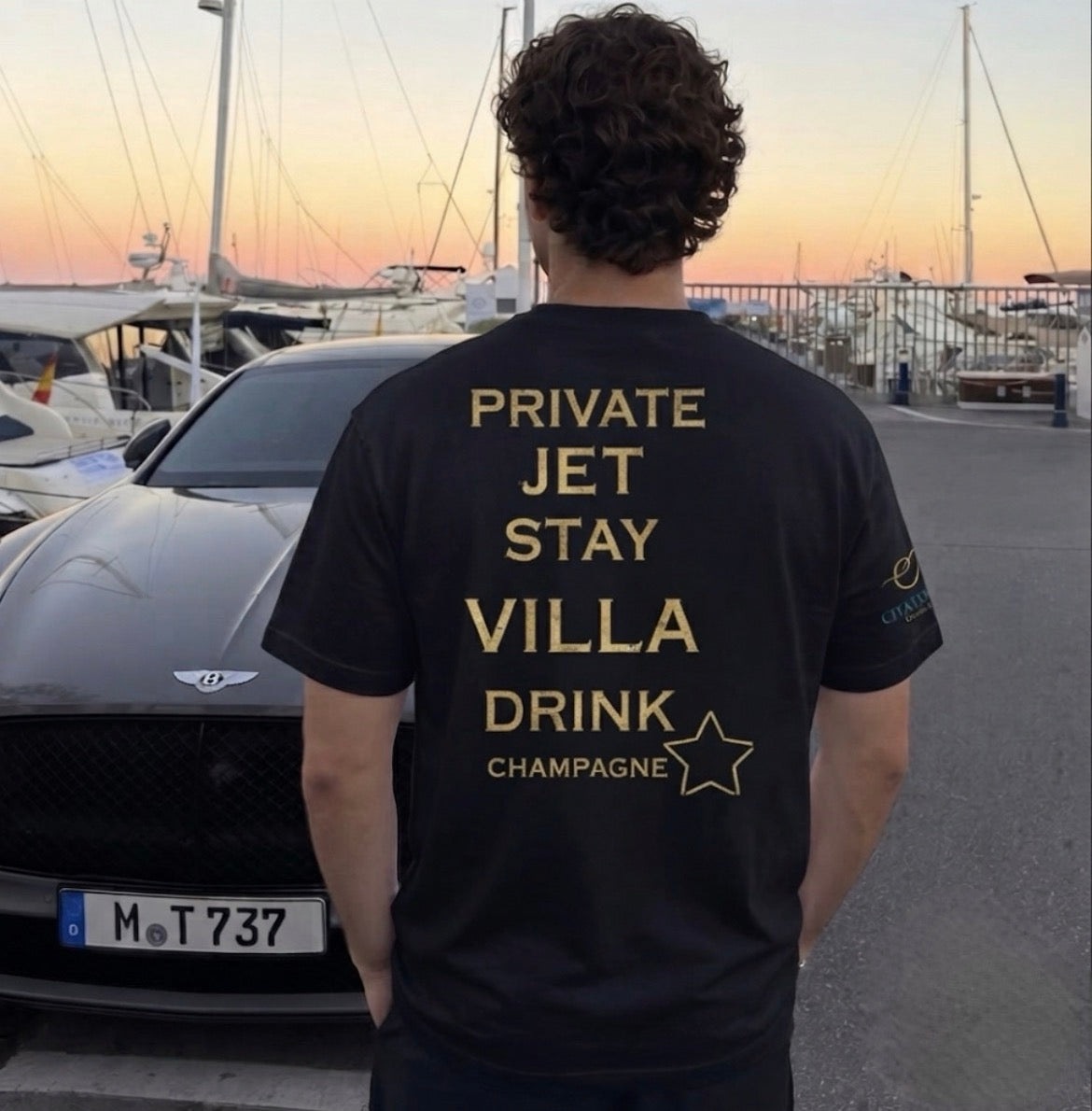 Private Jet. Stay Villa. Drink Champagne Tees